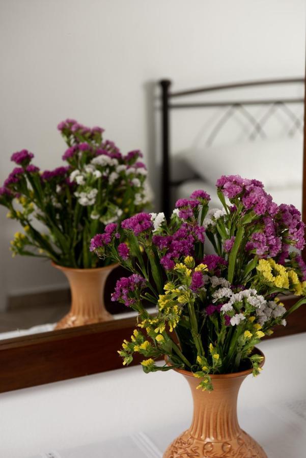 Castle Memories Aparthotel Naxos City Luaran gambar